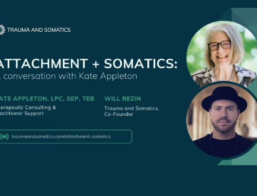 Attachment and Somatics Practitioner Certificate